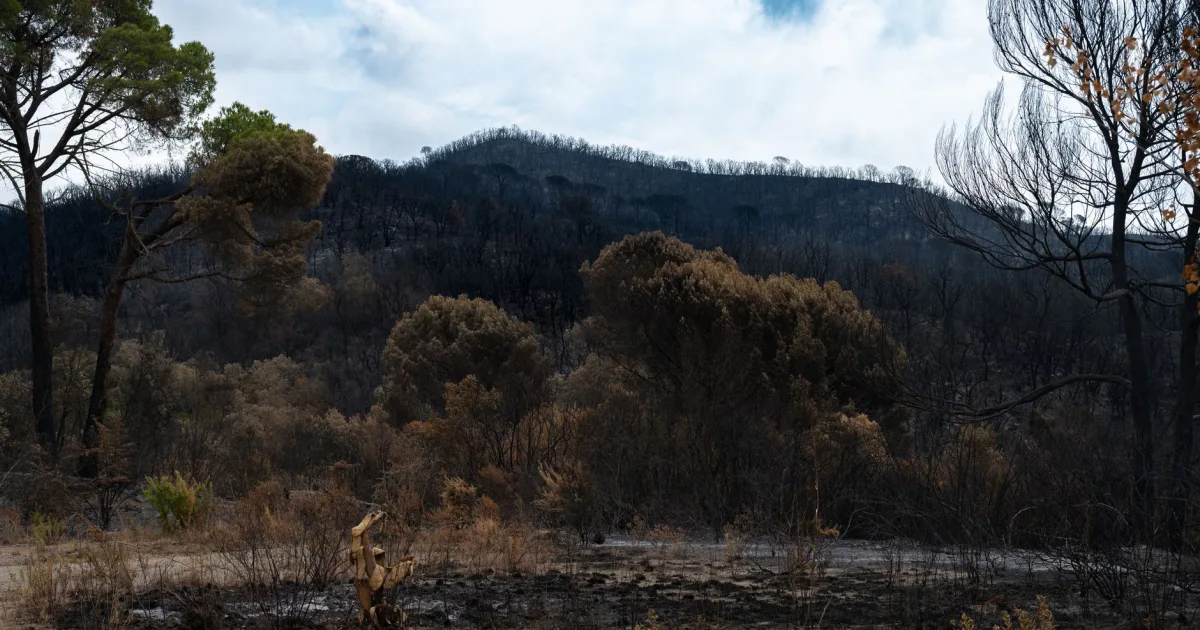 Plan de vivienda incendios Madrid: 30 millones para el funcionario que huyó del precio a la Sierra Oeste