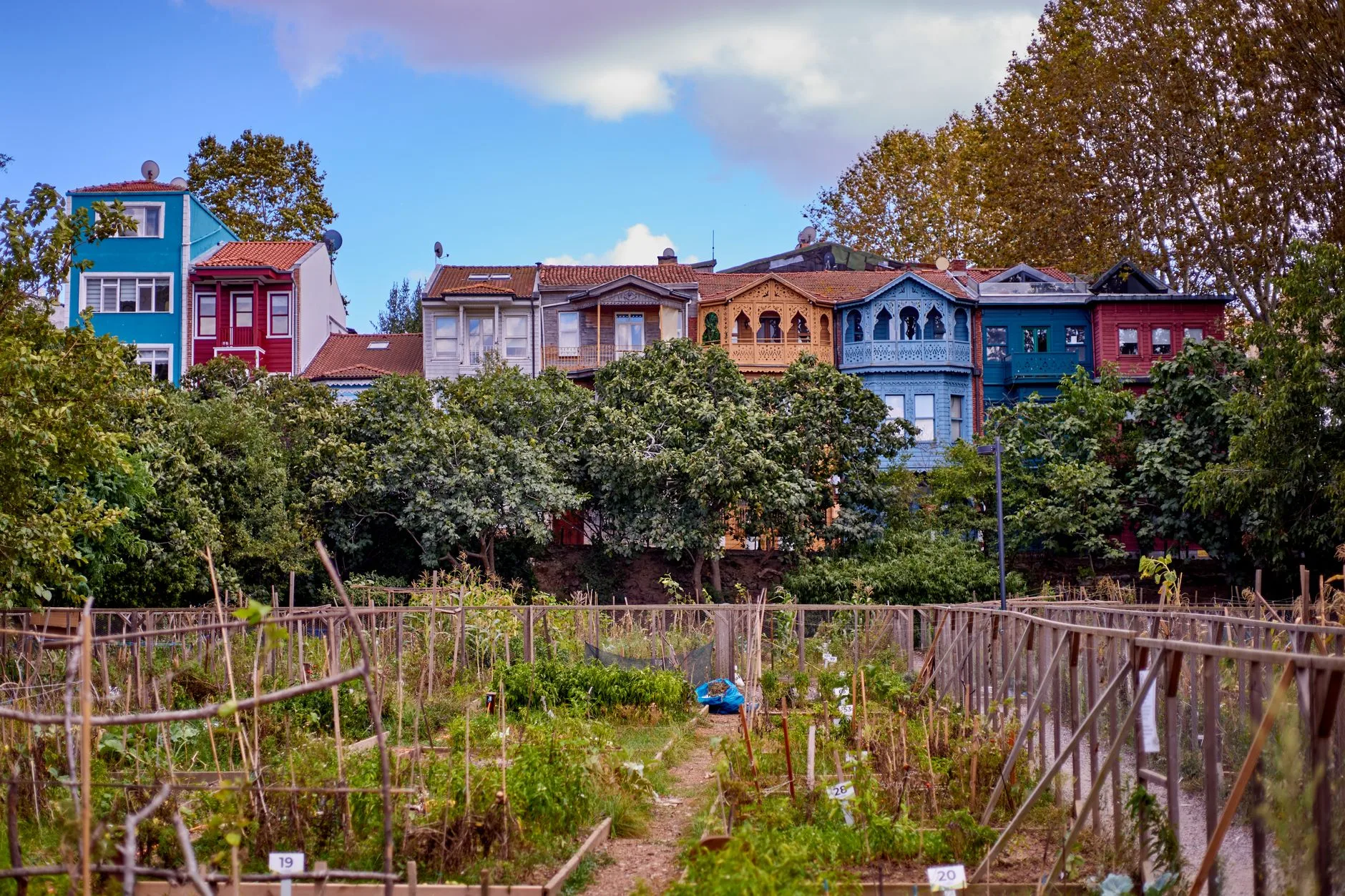 Qué es el cohousing: cómo nace, cómo funciona y qué gana quien se acoge a este modelo